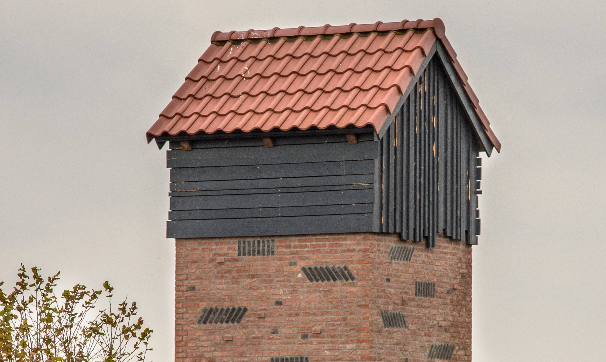 vleermuis toren